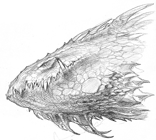 Earthsea Dragons (Sketch 2)